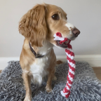 Make Something to Gift: Make a Dog Toy